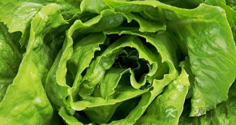 孕妇不宜食用的蔬菜