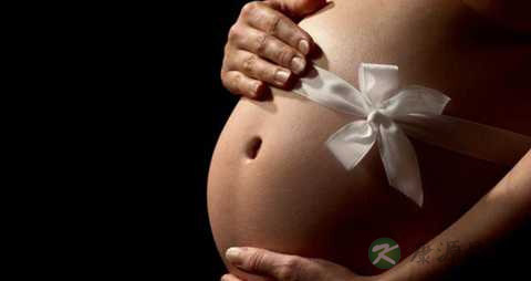 孕妇去湿气的食物