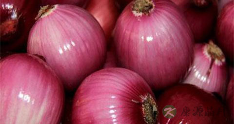 老人牙痛吃什么好