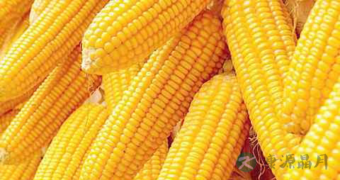 孩子吃什么增强记忆力