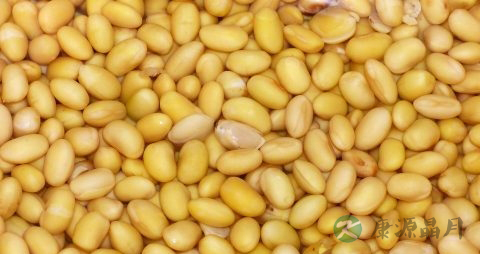 扁桃体发炎咳嗽吃什么