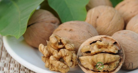 吃什么食物提高记忆力