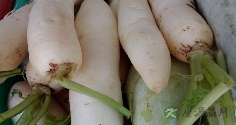 白萝卜怎样吃好