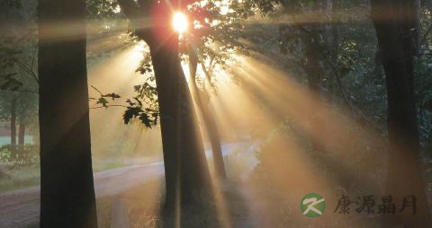 脸红发热怎么办