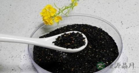 肾虚脱发吃什么好