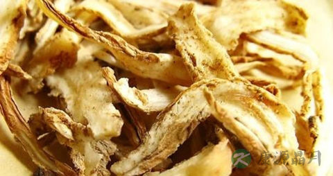 当归可以每天吃吗