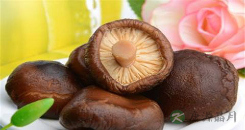 吃什么对牙龈有好处