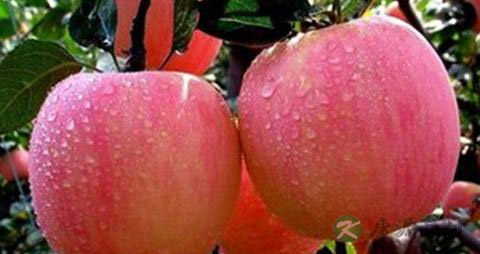 吃什么对头发比较好