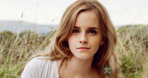 三款甜蜜养生大餐 浪漫过圣诞