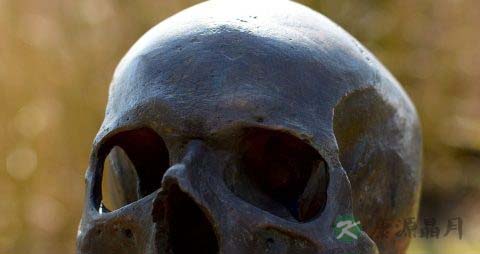 骨头钙化吃什么