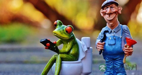 吃什么东西可以治便秘