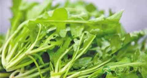 孩子脱发是缺什么