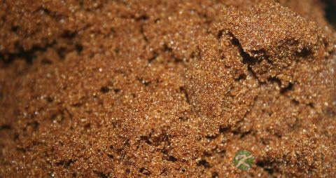 淋雨感冒怎么办