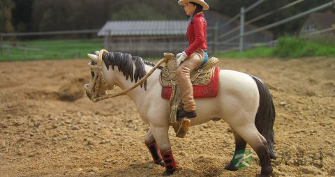 红豆的功能和吃法