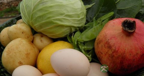 幼儿健康饮食小常识