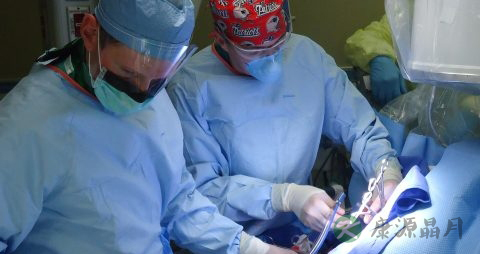 骨头坏死吃什么药