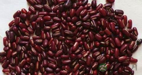 体内湿气重有哪些表现