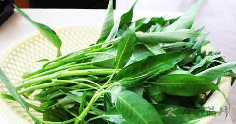 清热解毒喝什么