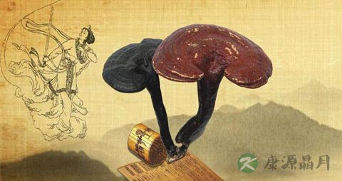 血压高吃什么补品好