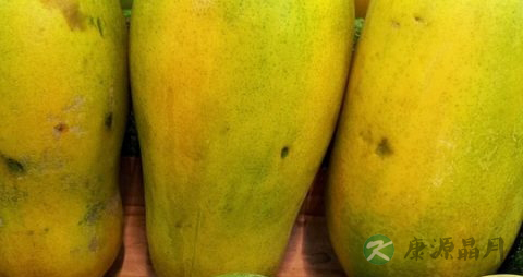 番木瓜碱是什么