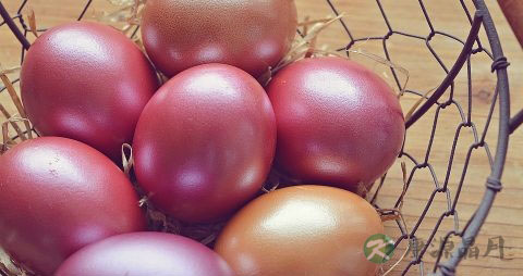 米酒鸡蛋可以每天吃吗