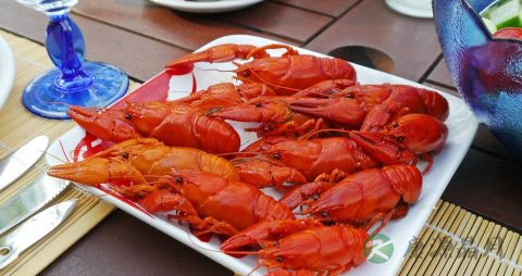 小儿止咳化痰用什么好