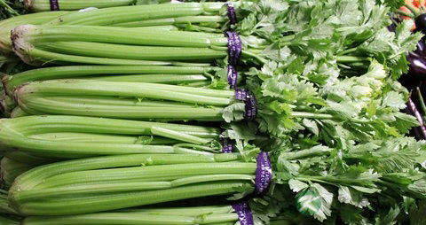 吃什么能去湿气