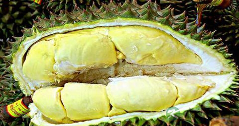 月经吃什么量多