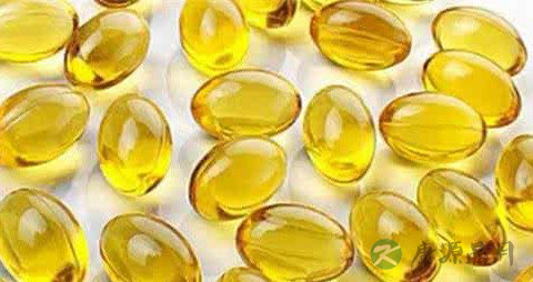 吃什么对骨髓好