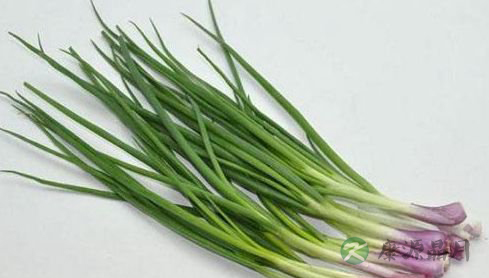 吃葱有讲究 哪些人不宜吃