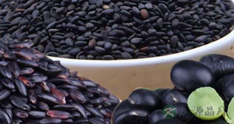 肾虚性脱发怎么治