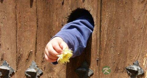 胳膊发麻怎么回事