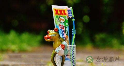 全口假牙的种类