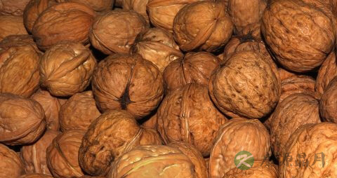 芝麻核桃怎样吃好