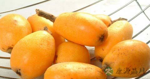 润喉润肺的食物