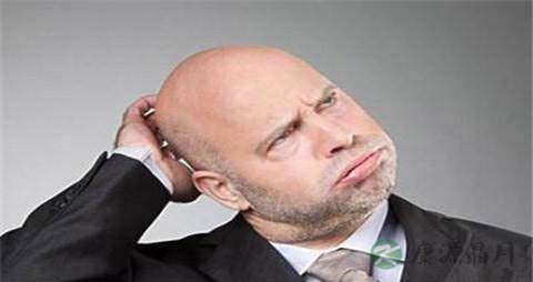 肾虚脱发吃什么食物