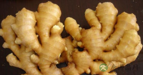 油性发质脱发怎么办