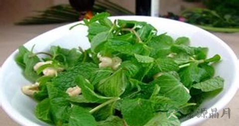 清热解毒的蔬菜