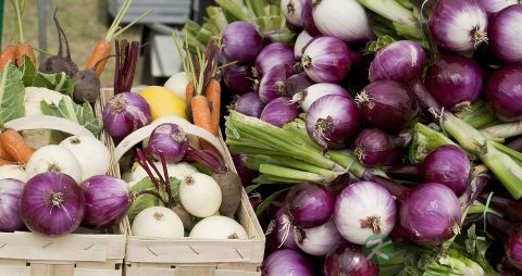 洋葱怎样吃好吃又简单