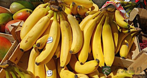 产后掉发严重怎么办