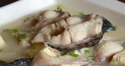 黑鱼汤的做法