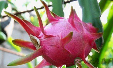 健康饮食15句大食话