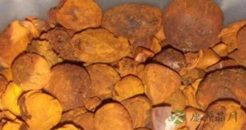 吃什么东西能使头发变黑