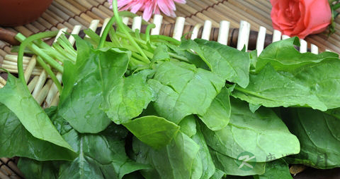 吃什么有利于牙齿