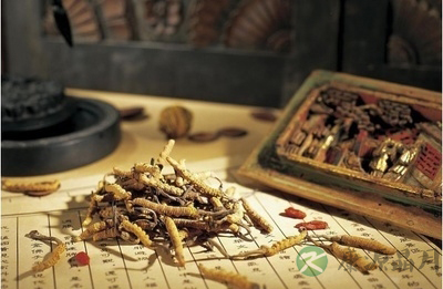 清热解毒中药配方