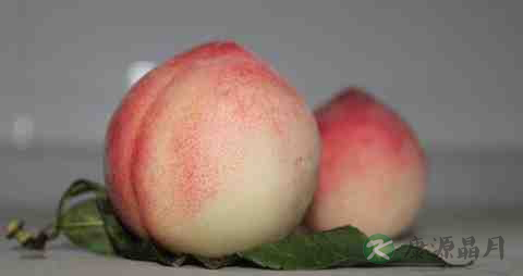 牙龈红肿吃什么水果