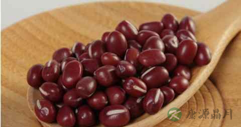 体内湿气重应该吃什么