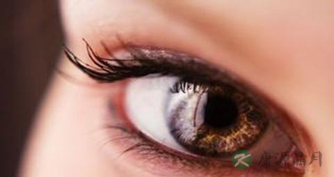 吃鱼对眼睛好吗