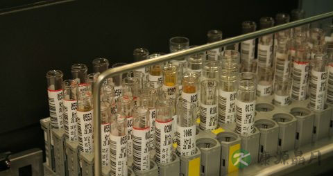 氨气中毒怎么办