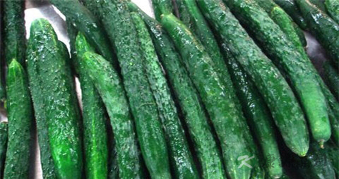 降血脂的蔬菜有哪些